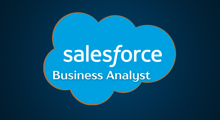 Salesforce BA Course
