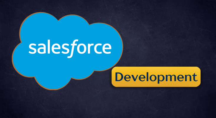 Salesforce Development Course
